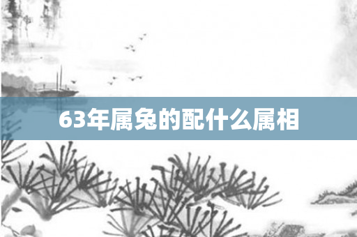 63年属兔的配什么属相