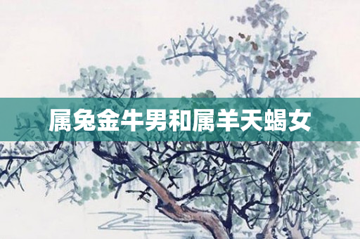 属兔金牛男和属羊天蝎女