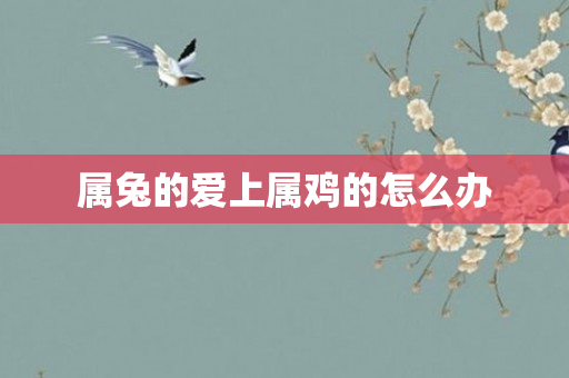 属兔的爱上属鸡的怎么办