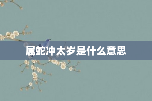 属蛇冲太岁是什么意思