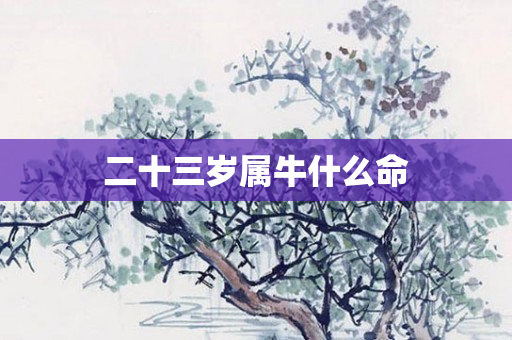 二十三岁属牛什么命