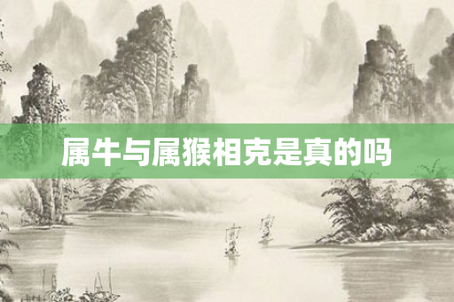 属牛与属猴相克是真的吗