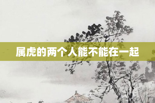 属虎的两个人能不能在一起