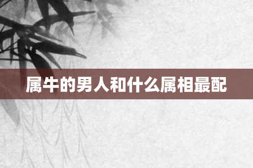 属牛的男人和什么属相最配