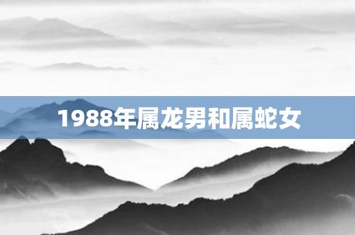 1988年属龙男和属蛇女