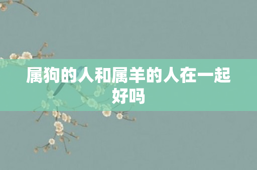 属狗的人和属羊的人在一起好吗