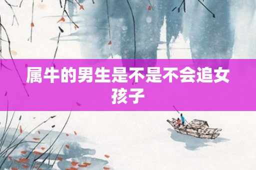 属牛的男生是不是不会追女孩子