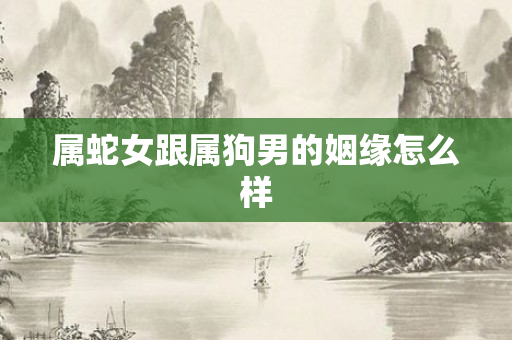 属蛇女跟属狗男的姻缘怎么样