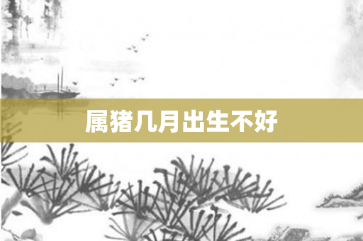 属猪几月出生不好