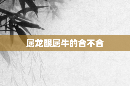 属龙跟属牛的合不合