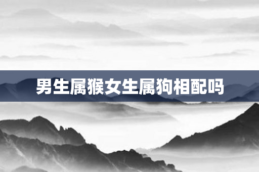 男生属猴女生属狗相配吗