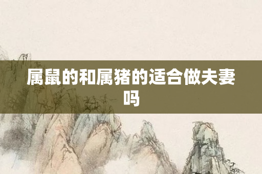 属鼠的和属猪的适合做夫妻吗