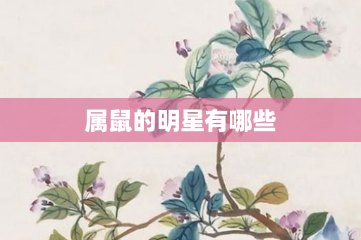 属鼠的明星有哪些