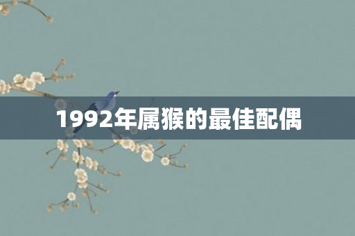 1992年属猴的更佳配偶