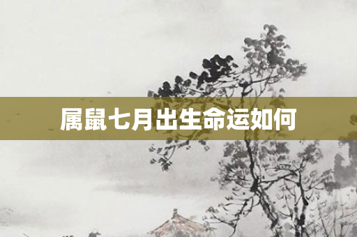 属鼠七月出生命运如何