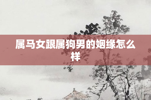 属马女跟属狗男的姻缘怎么样