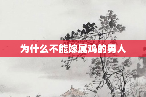 为什么不能嫁属鸡的男人