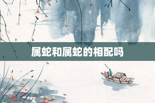 属蛇和属蛇的相配吗