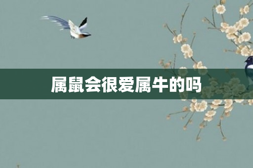 属鼠会很爱属牛的吗