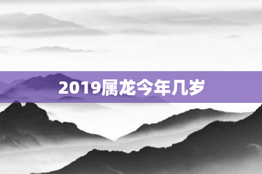 2019属龙今年几岁