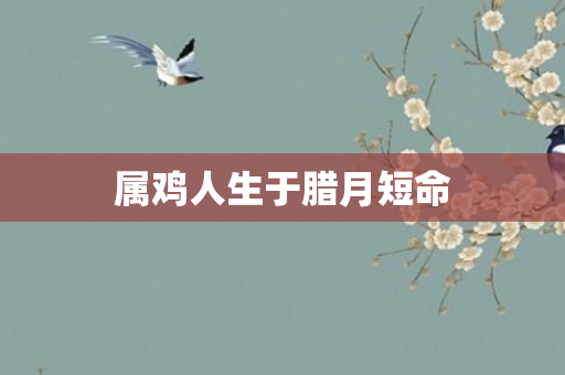 属鸡人生于腊月短命