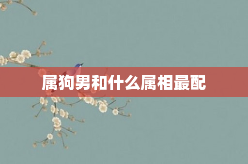 属狗男和什么属相最配