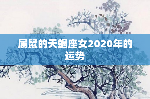 属鼠的天蝎座女2020年的运势
