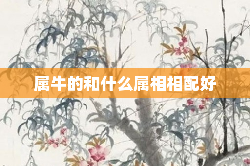 属牛的和什么属相相配好