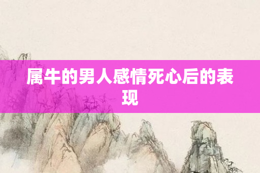 属牛的男人感情死心后的表现