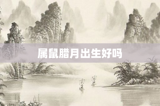 属鼠腊月出生好吗