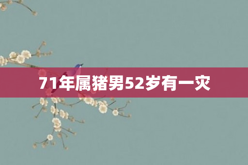71年属猪男52岁有一灾