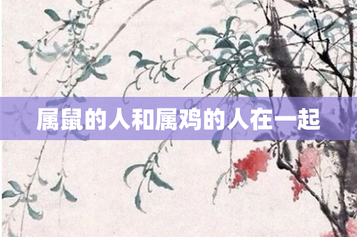属鼠的人和属鸡的人在一起