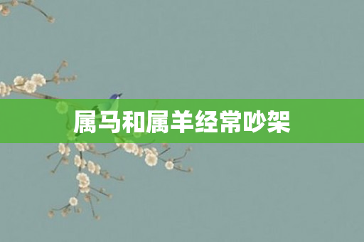 属马和属羊经常吵架