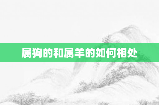 属狗的和属羊的如何相处