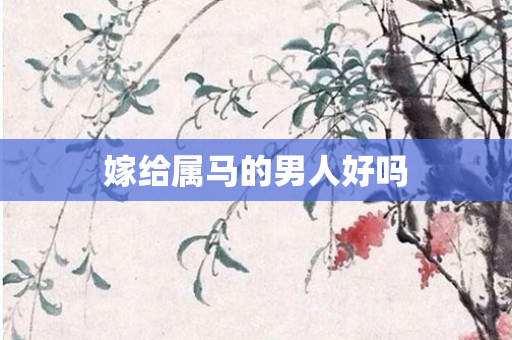 嫁给属马的男人好吗