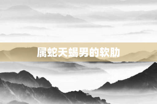 属蛇天蝎男的软肋