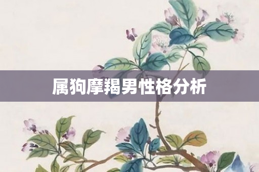 属狗摩羯男性格分析