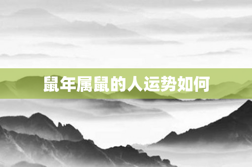 鼠年属鼠的人运势如何