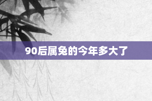 90后属兔的今年多大了