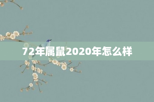 72年属鼠2020年怎么样