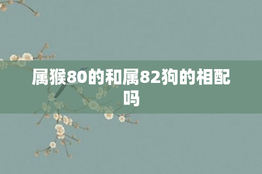 属猴80的和属82狗的相配吗