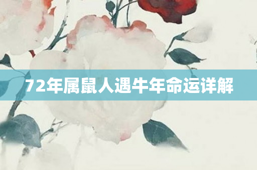 72年属鼠人遇牛年命运详解
