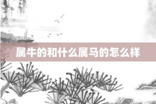 属牛的和什么属马的怎么样