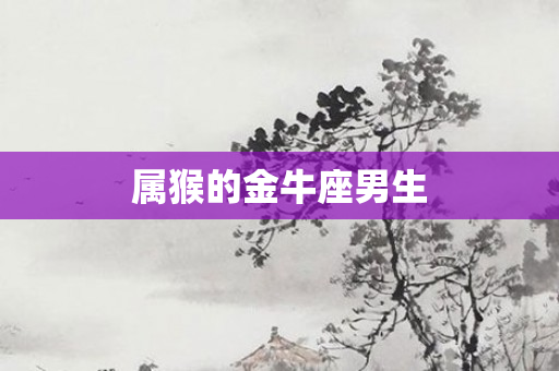 属猴的金牛座男生