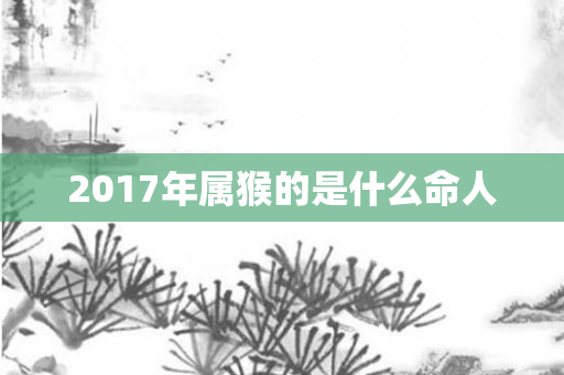 2017年属猴的是什么命人