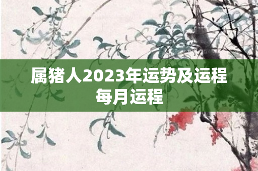 属猪人2023年运势及运程每月运程