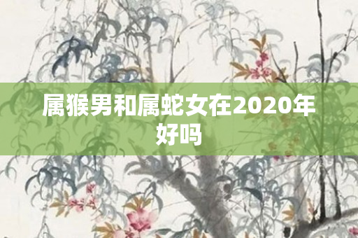 属猴男和属蛇女在2020年好吗