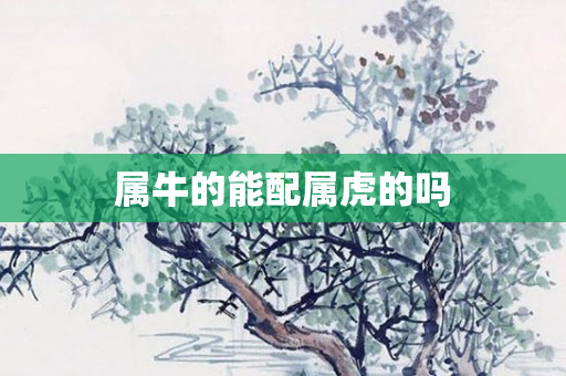 属牛的能配属虎的吗