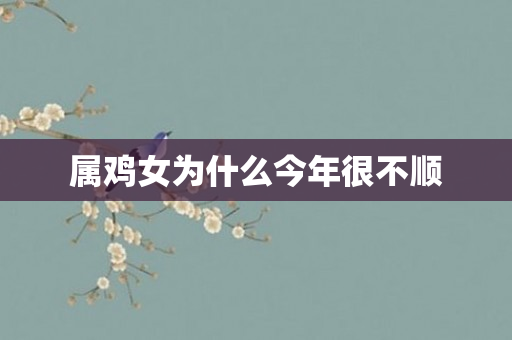 属鸡女为什么今年很不顺