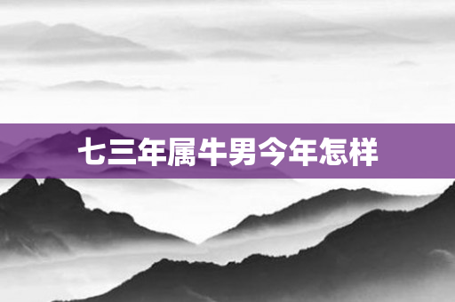 七三年属牛男今年怎样